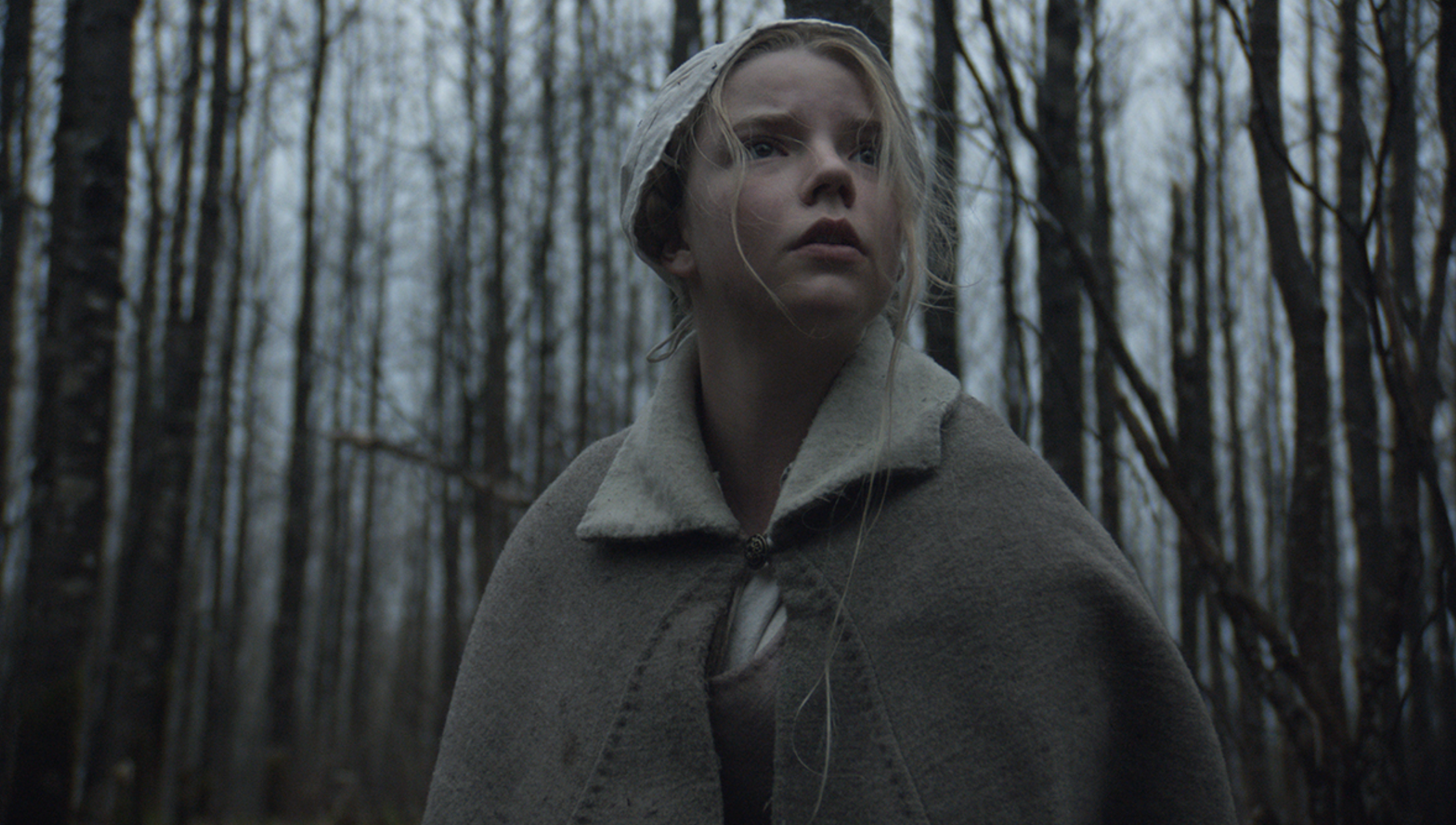 The Witch Robert Eggers